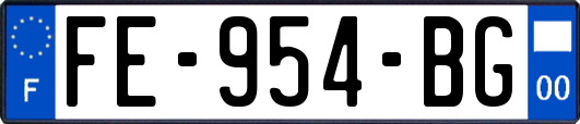 FE-954-BG