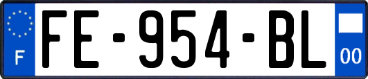 FE-954-BL
