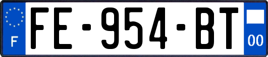 FE-954-BT