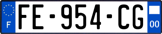 FE-954-CG