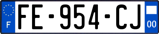 FE-954-CJ