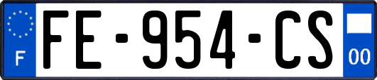 FE-954-CS