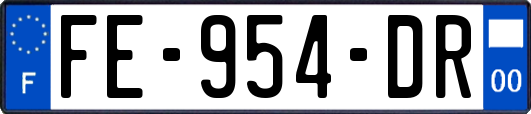 FE-954-DR