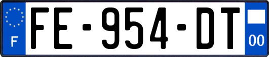 FE-954-DT