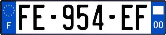 FE-954-EF