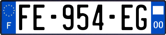 FE-954-EG