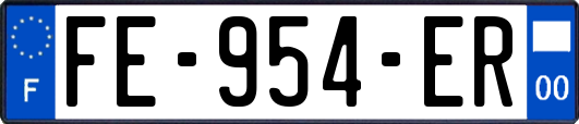 FE-954-ER