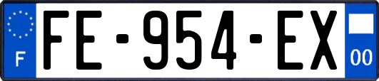 FE-954-EX