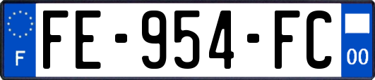 FE-954-FC