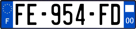 FE-954-FD