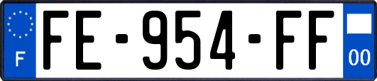 FE-954-FF