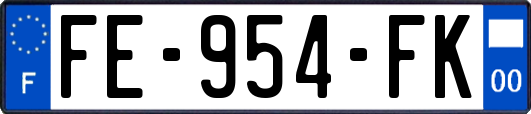 FE-954-FK