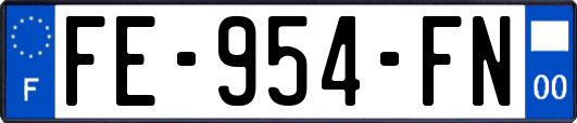 FE-954-FN