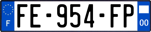 FE-954-FP
