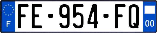 FE-954-FQ
