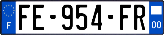 FE-954-FR