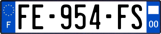 FE-954-FS