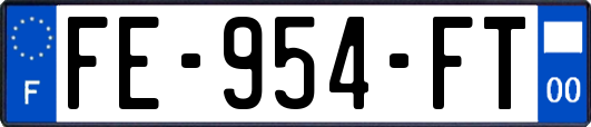 FE-954-FT