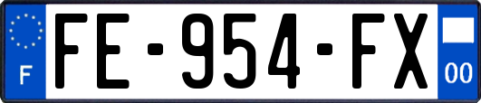 FE-954-FX