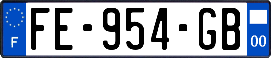 FE-954-GB