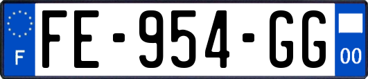 FE-954-GG