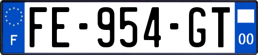 FE-954-GT