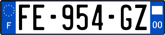 FE-954-GZ