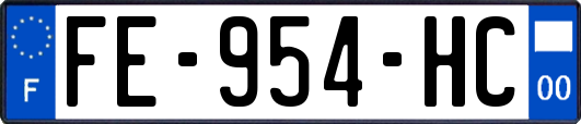 FE-954-HC