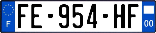FE-954-HF