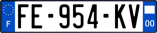 FE-954-KV