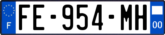FE-954-MH