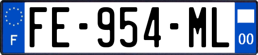 FE-954-ML