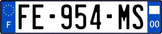 FE-954-MS