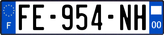 FE-954-NH