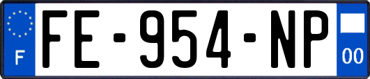 FE-954-NP