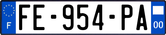 FE-954-PA