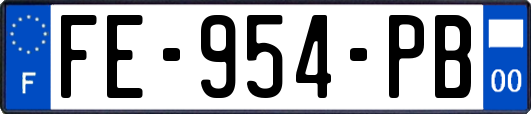 FE-954-PB