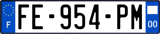 FE-954-PM