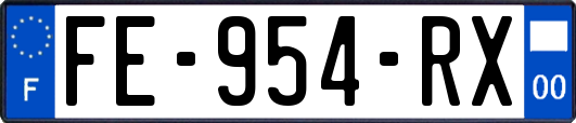 FE-954-RX