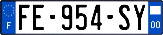 FE-954-SY