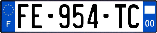 FE-954-TC