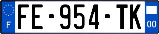 FE-954-TK