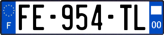 FE-954-TL
