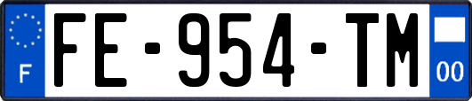 FE-954-TM