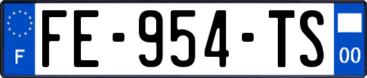 FE-954-TS