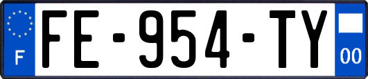 FE-954-TY