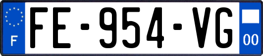 FE-954-VG