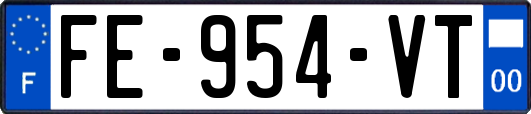 FE-954-VT
