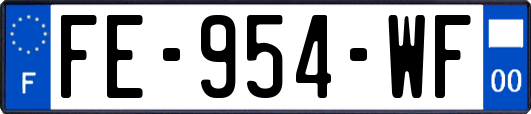 FE-954-WF