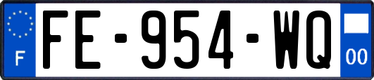 FE-954-WQ